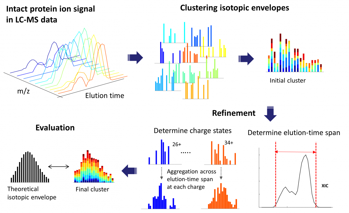 ProMex LC-MS Feature Finding