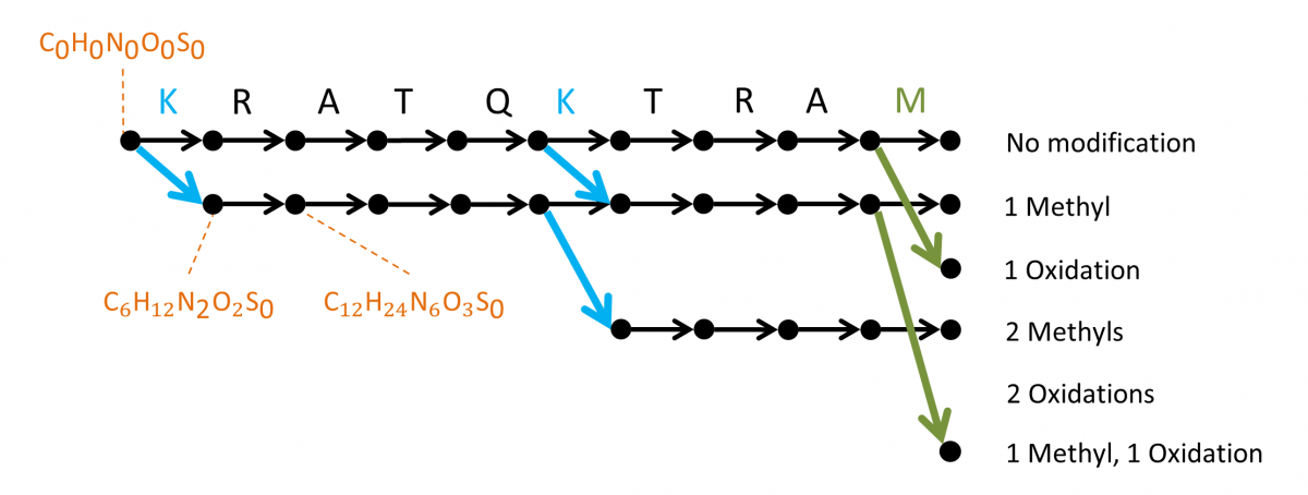 Sequence Graph