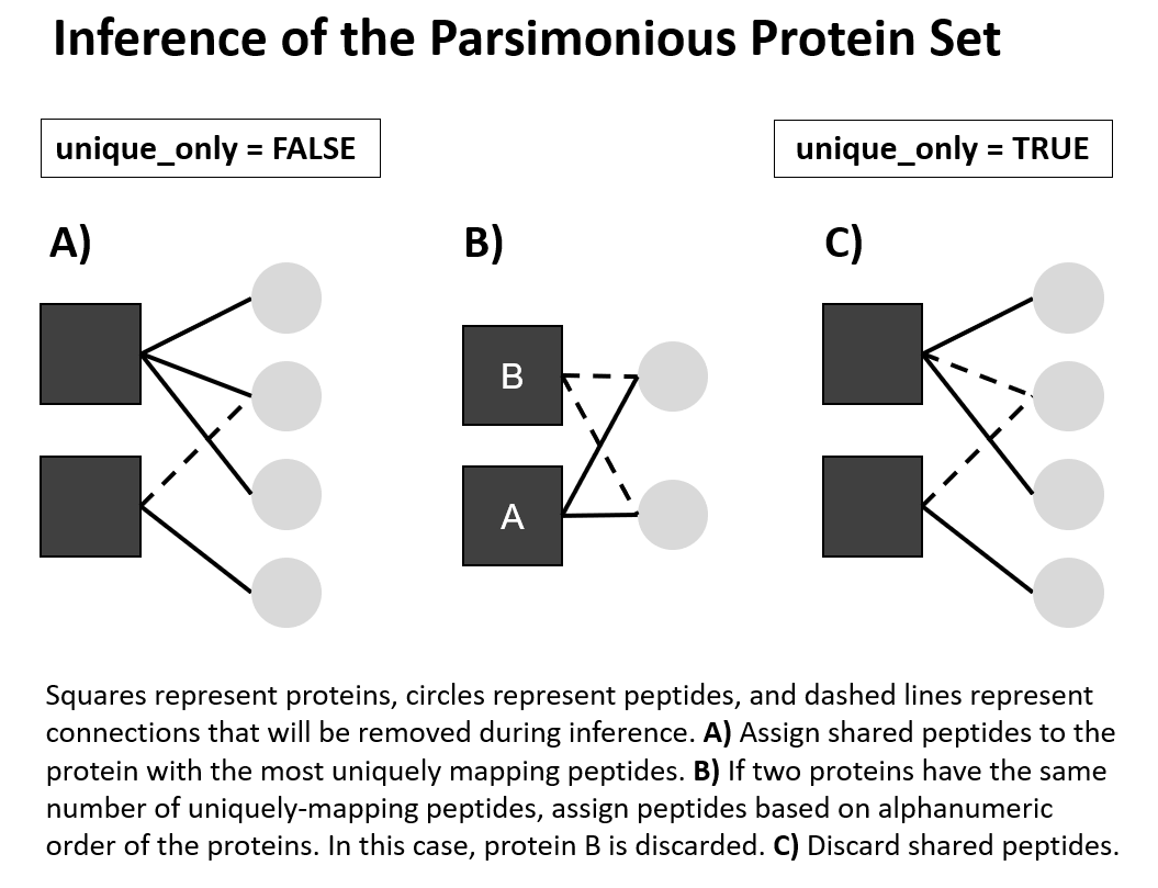 Visual explanation of the inference of the parsimonious protein set.